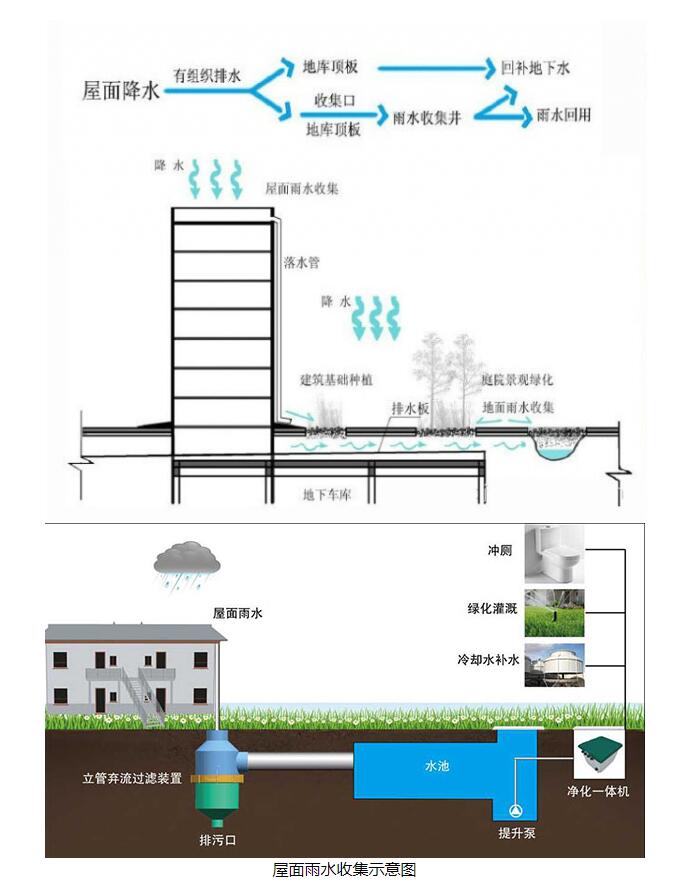 屋面雨水收集